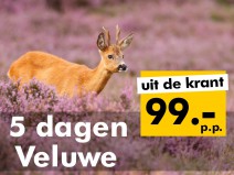 4* Fletcher Hotel Epe-Zwolle 4* Fletcher Hotel Epe-Zwolle